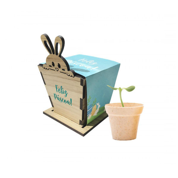 Mini Kit Plantio Ecológico Personalizado