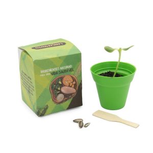 Ecobox Árvore na Caixinha Personalizado