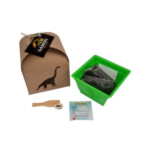 Kit Cultivo semente Brindes Personalizado